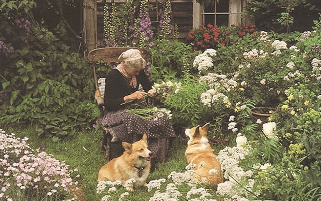 Cụ bà 92 tuổi cải tạo mảnh đất quê thành căn nhà vườn nên thơ trị giá 2 triệu USD - Ảnh 4.