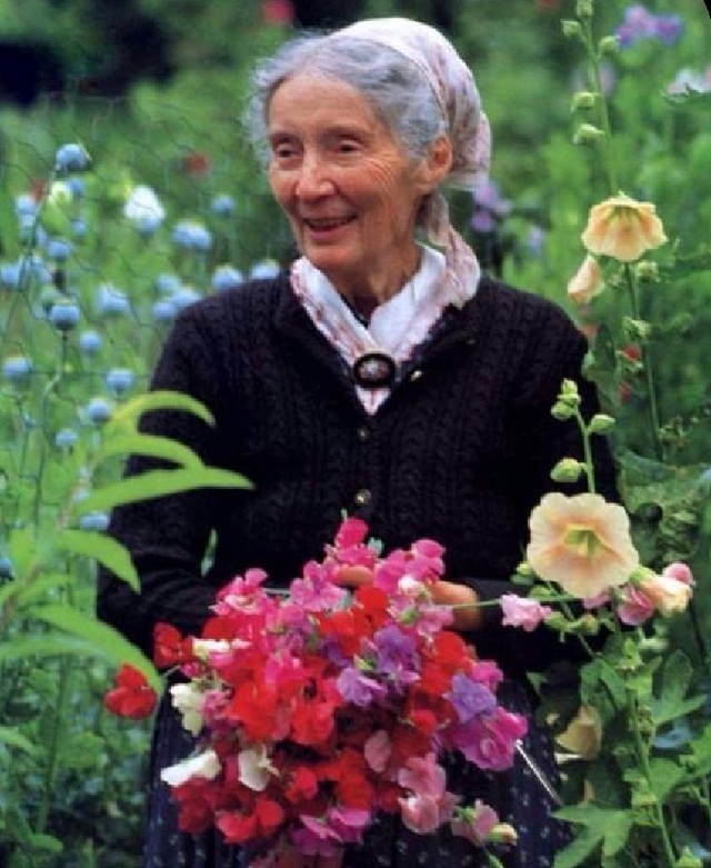 Cụ bà 92 tuổi cải tạo mảnh đất quê thành căn nhà vườn nên thơ trị giá 2 triệu USD - Ảnh 1.