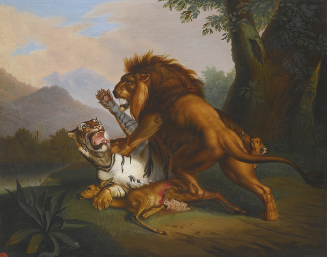 Hổ và sư tử, con nào mạnh hơn? 3 vị vua đã cho chúng đọ sức, kết quả không thể tưởng tượng - Ảnh 2.