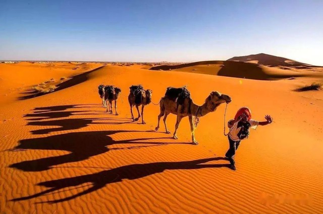 Bên dưới lớp cát dày của sa mạc Sahara ở Châu Phi có gì? - Ảnh 4.