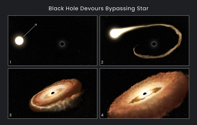 Cận cảnh hình ảnh hố đen “nuốt chửng” một ngôi sao - Ảnh 1.