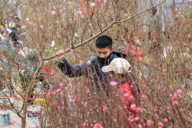 Chợ hoa Lạc Long Quân chật kín người mua, bán đào chơi Tết - Ảnh 8.