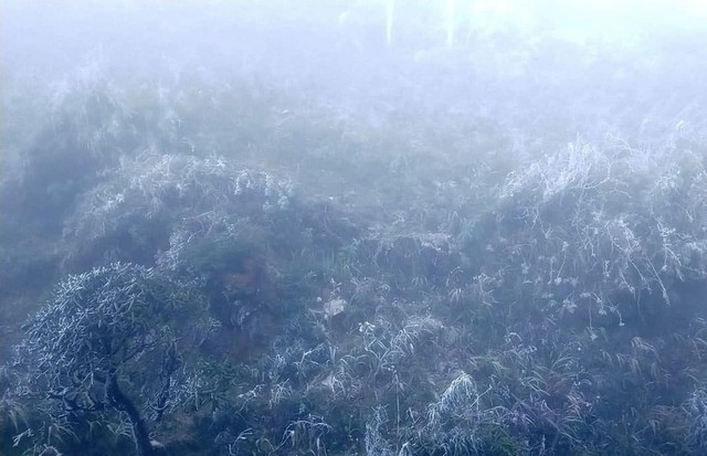 Băng tuyết phủ trắng cảnh vật, cây cối trên đỉnh Fansipan - Ảnh 1.