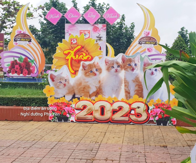 Dàn linh vật mèo mừng Tết Quý Mão 2023 khắp các địa điểm đón Tết tại Việt Nam cùng rủ nhau đọ độ &quot;cute&quot; khiến dân mạng cười xỉu  - Ảnh 7.