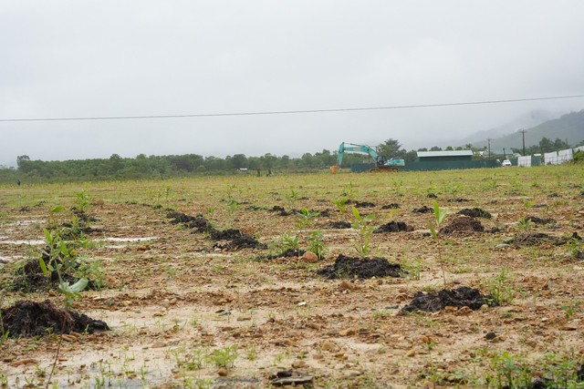Hoàn thành xử lý hơn 38.700m3 đất nhiễm chất độc dioxin tại Thừa Thiên Huế - Ảnh 2.