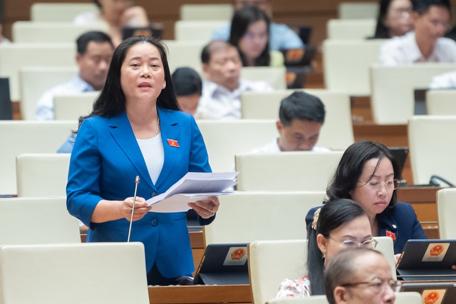 Đại biểu Quốc hội đề nghị đề cao tiêu chuẩn chất lượng cá nhân tham gia lực lượng bảo vệ an ninh, trật tự cơ sở - Ảnh 3.