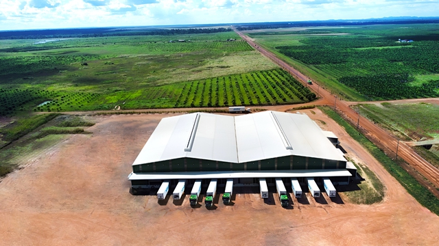 Logistics tăng sức cạnh tranh cho nông sản xuất khẩu  - Ảnh 2.