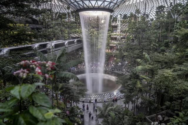 Biến thành phố thành khu vườn: Singapore &quot;gieo hạt giống&quot; cho cuộc cách mạng xanh - Ảnh 1.