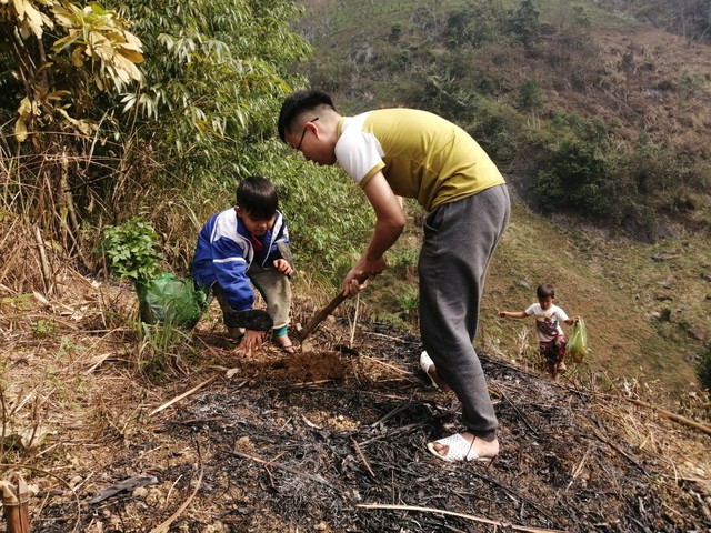 Chàng trai vừa làm "BTV xoàng" ở Hà Nội vừa trồng "triệu cây xanh": Bố mắng sa sả; nhìn cây mà khóc! - Ảnh 2.