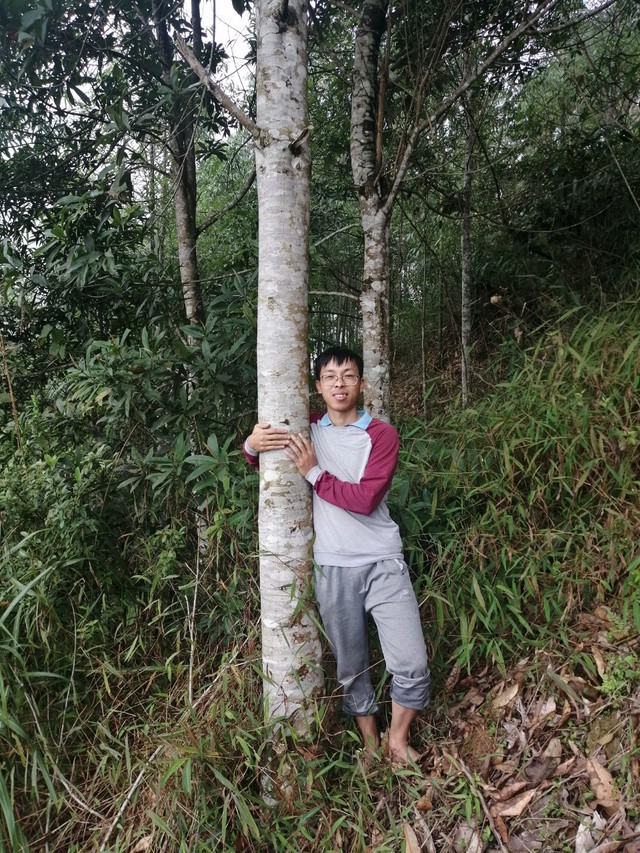 Chàng trai vừa làm "BTV xoàng" ở Hà Nội vừa trồng "triệu cây xanh": Bố mắng sa sả; nhìn cây mà khóc! - Ảnh 13.