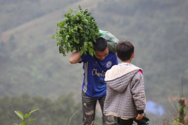 Chàng trai vừa làm &quot;BTV xoàng&quot; ở Hà Nội vừa trồng &quot;triệu cây xanh&quot;: Bố mắng sa sả; nhìn cây mà khóc! - Ảnh 9.