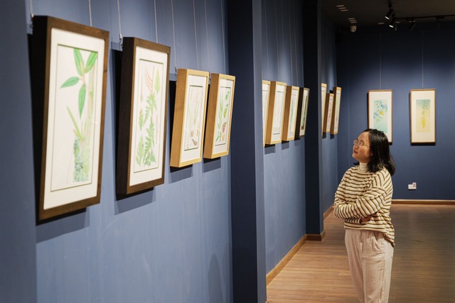 Phan Thị Thanh Nhã ngắm các tác phẩm mình sáng tác tại triển lãm