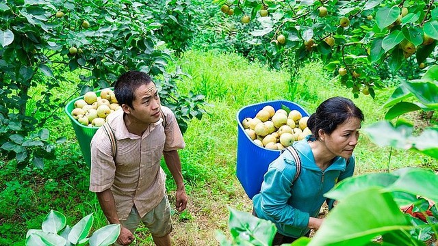 Nỗ lực vì mục tiêu giảm nghèo bền vững ở Lào Cai - Ảnh 2.