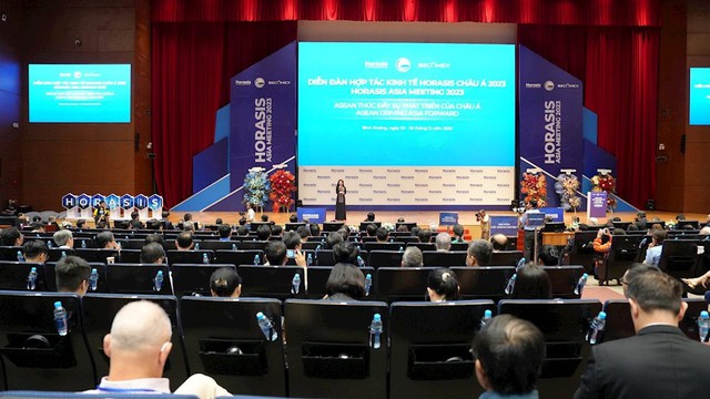 Bình Dương: Khai mạc Diễn đàn hợp tác kinh tế Horasis Châu Á 2023 - Ảnh 6.