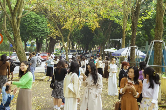  Giới trẻ mê mẩn check-in con đường lá vàng đẹp như cảnh thu Hàn Quốc ở Hà Nội  - Ảnh 3.