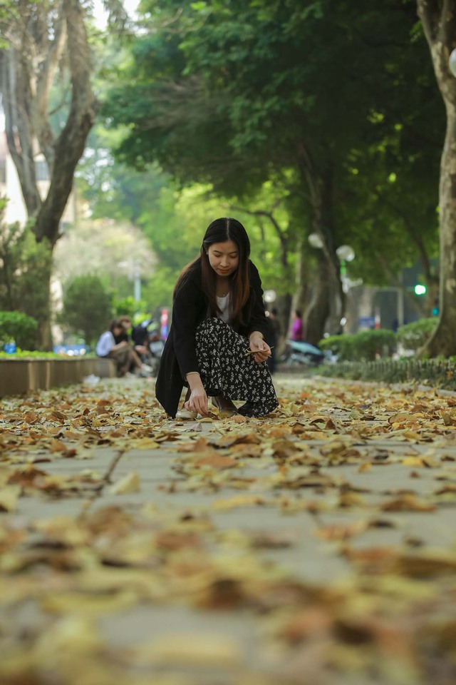  Giới trẻ mê mẩn check-in con đường lá vàng đẹp như cảnh thu Hàn Quốc ở Hà Nội  - Ảnh 10.