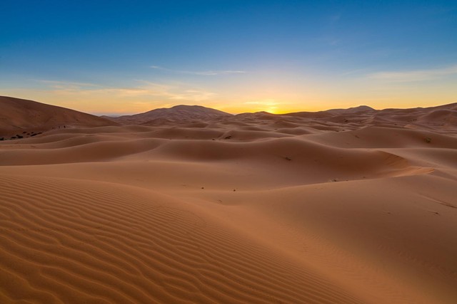 Nhiều người đề xuất phủ xanh sa mạc, chuyên gia: Nếu làm như vậy, loài người sẽ vô cùng hối hận - Ảnh 3.