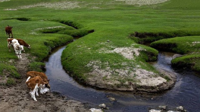 Con sông hẹp nhất thế giới 'lạ' như thế nào: Dài 17km nhưng chỉ rộng 4cm ở đoạn hẹp nhất, tồn tại từ 10.000 năm trước - Ảnh 2. Con sông hẹp nhất thế giới 'lạ' như thế nào: Dài 17km nhưng chỉ rộng 4cm ở đoạn hẹp nhất, tồn tại từ 10.000 năm trước - Ảnh 2.