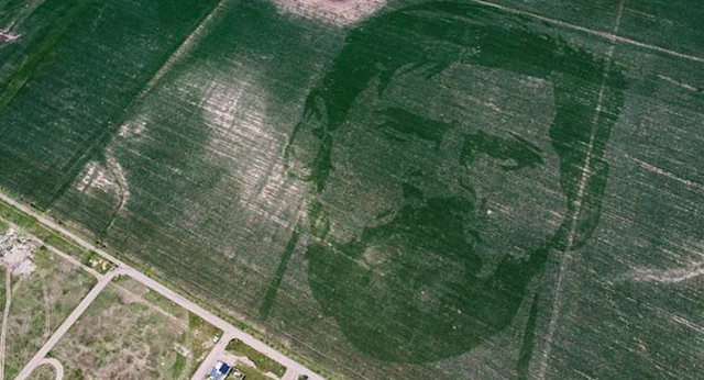 Anh nông dân dùng toán học vẽ hình Messi khổng lồ trên cánh đồng ngô - Ảnh 1.