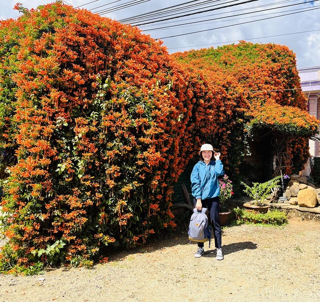 Đến hẹn lại lên: thêm một căn nhà phủ đầy hoa rực rỡ tại Di Linh nườm nượp du khách ghé đến chụp hình - Ảnh 9.