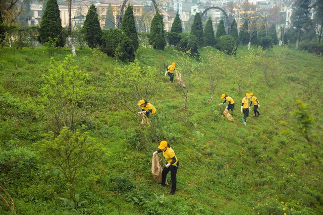 Ra quân dọn rác, trồng cây hướng tới kỷ niệm 120 năm Du lịch Sa Pa - Ảnh 4.