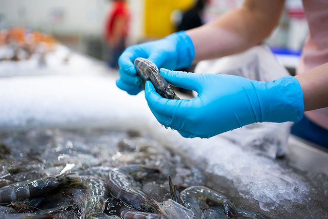Bất ngờ loại hải sản có thể lấy vỏ làm ‘vũ khí’ bảo vệ môi trường - Việt Nam đang là ‘vua xuất khẩu’ - Ảnh 7.