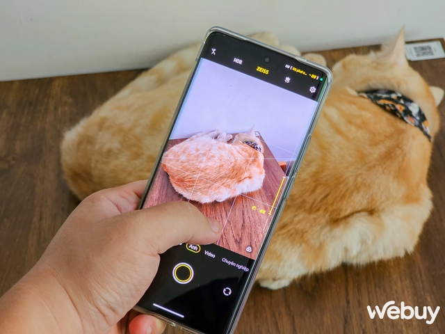 Thử so camera vivo X90 Pro và Xiaomi 13 Pro: Cân tài cân sức nhưng có một chiếc điện thoại nhỉnh hơn ở chi tiết này - Ảnh 21.