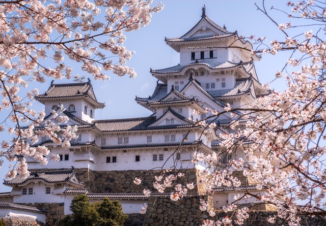 Du lịch Nhật Bản &quot;nở rộ&quot; nhờ mùa hoa anh đào - Ảnh 1.