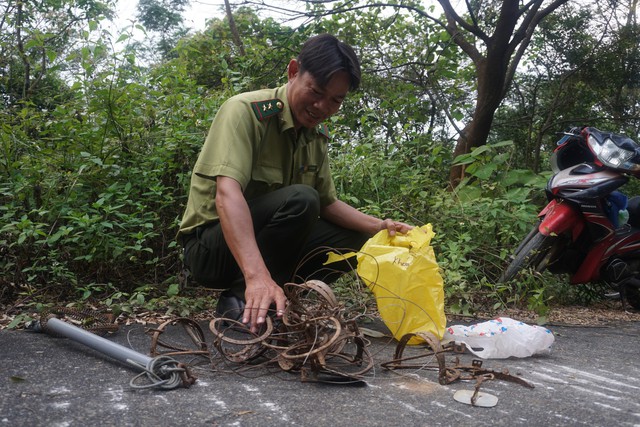 Hàng trăm bẫy thú nguy hiểm tại bán đảo Sơn Trà bị phát hiện, gỡ bỏ - Ảnh 5.