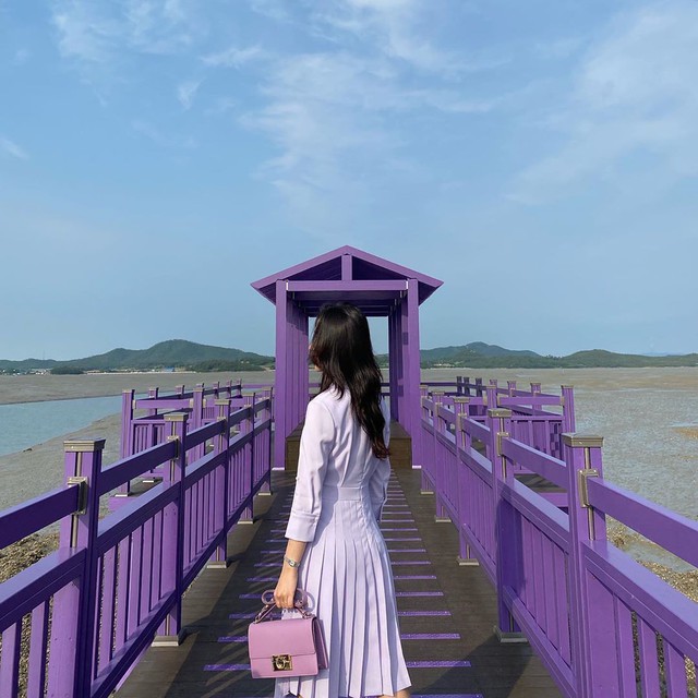Sự thật về hòn đảo màu tím tại Hàn Quốc khiến giới trẻ đổ xô đến check-in - Ảnh 7.