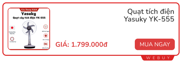 Quạt cây tích điện giá đã rẻ còn đang giảm gần 40%, mua về dùng đỡ lo mất điện bất chợt - Ảnh 3.