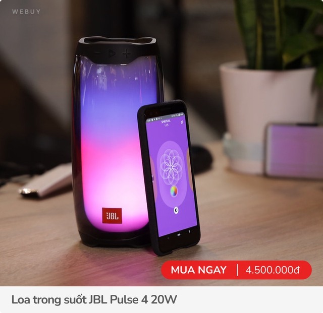 7 mẫu loa trong suốt cho người thích cái đẹp, giá từ vài trăm đến gần 34 triệu - Ảnh 3.
