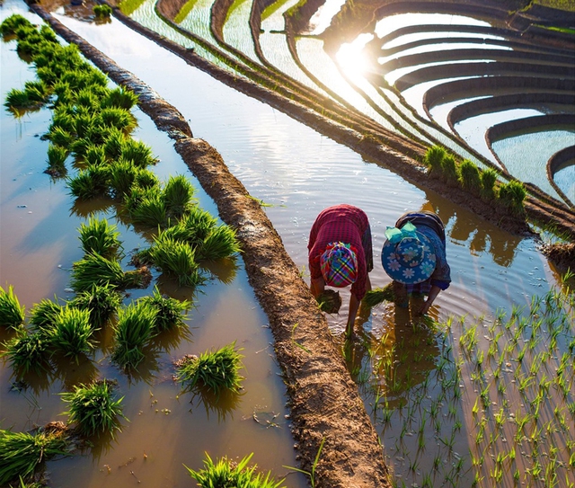 Cơ hội phát triển du lịch nông nghiệp Việt Nam - Ảnh 1.