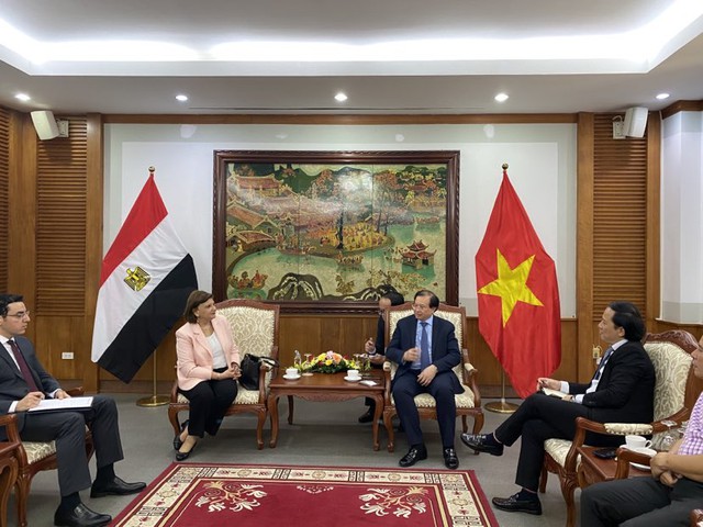 Việt Nam tăng cường hợp tác VHTTDL với Chile và Ai Cập - Ảnh 3.