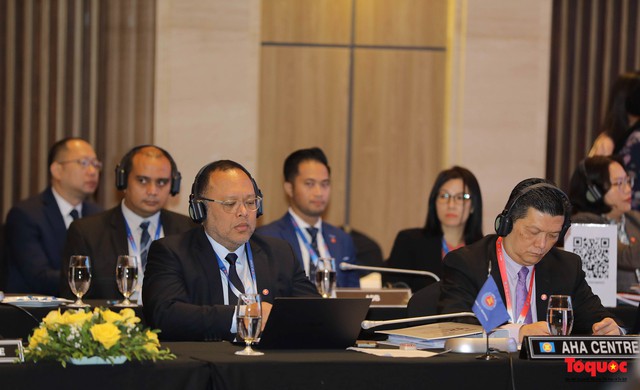 Hợp tác ASEAN về quản lý thiên tai  - Ảnh 4.