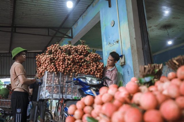 Nông dân Bắc Giang trắng đêm soi đèn thu hoạch vải thiều, ùn ùn chở đi bán từ tờ mờ sáng - Ảnh 17.