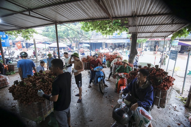 Nông dân Bắc Giang trắng đêm soi đèn thu hoạch vải thiều, ùn ùn chở đi bán từ tờ mờ sáng - Ảnh 16.