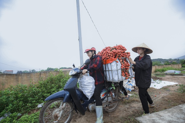 Nông dân Bắc Giang trắng đêm soi đèn thu hoạch vải thiều, ùn ùn chở đi bán từ tờ mờ sáng - Ảnh 10.