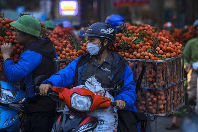 Nông dân Bắc Giang trắng đêm soi đèn thu hoạch vải thiều, ùn ùn chở đi bán từ tờ mờ sáng - Ảnh 14.