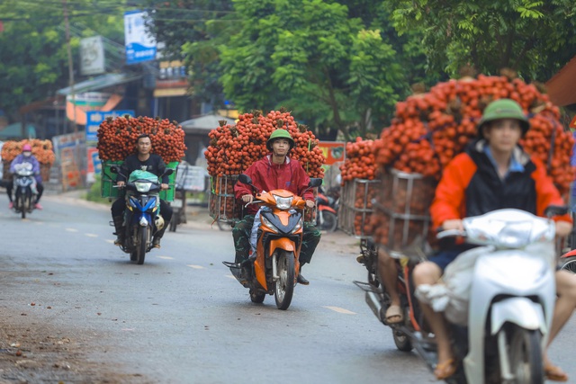 Nông dân Bắc Giang trắng đêm soi đèn thu hoạch vải thiều, ùn ùn chở đi bán từ tờ mờ sáng - Ảnh 19.