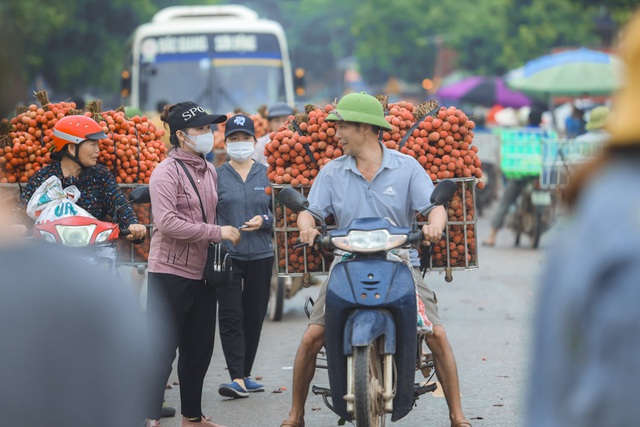 Nông dân Bắc Giang trắng đêm soi đèn thu hoạch vải thiều, ùn ùn chở đi bán từ tờ mờ sáng - Ảnh 15.