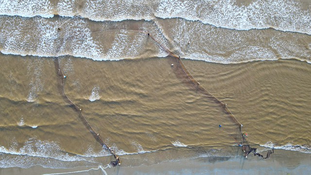 Xem ngư dân kéo cả nghìn mét lưới bắt hải sản trên biển - Ảnh 2.