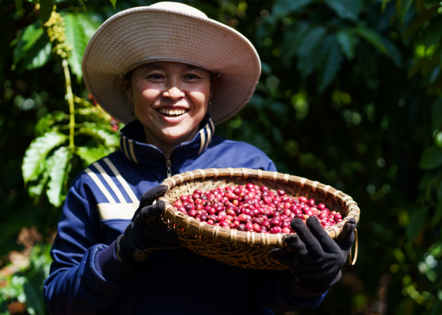 Nestlé thúc đẩy nền nông nghiệp phát thải thấp qua mô hình nông nghiệp tái sinh - Ảnh 1.