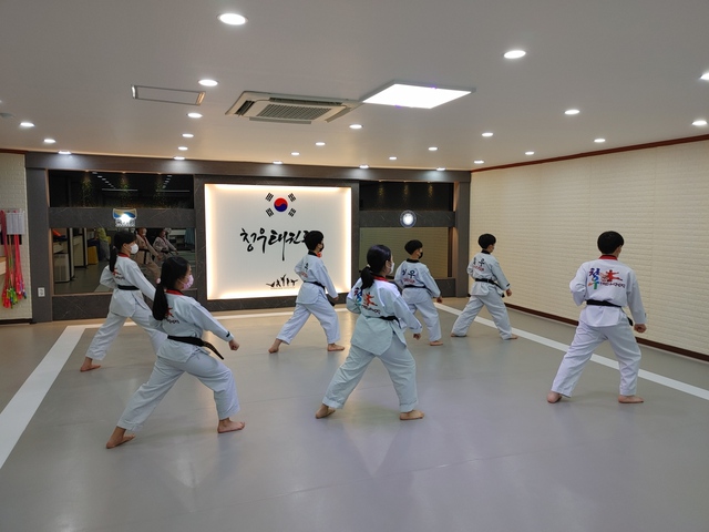 Câu chuyện phát triển Taekwondo để quảng bá hình ảnh Hàn Quốc: Kinh nghiệm quan trọng cho Việt Nam - Ảnh 1.