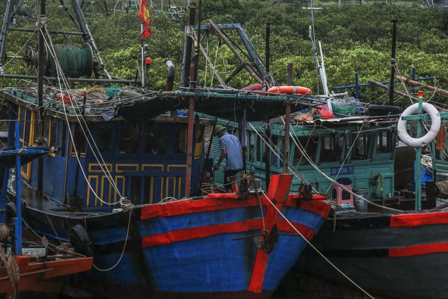 Quảng Ninh: Tàu thuyền nối đuôi nhau “trốn bão Talim”  - Ảnh 12.
