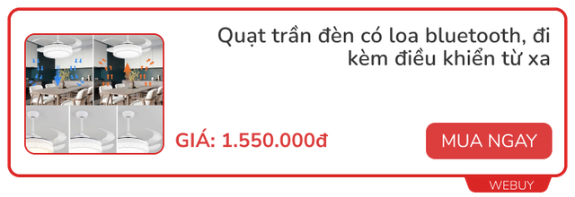 Thời ông bà đã có quạt tích hợp máy nghe nhạc, đèn ngủ và radio, chỉ giới nhà giàu xưa mới có - Ảnh 5.