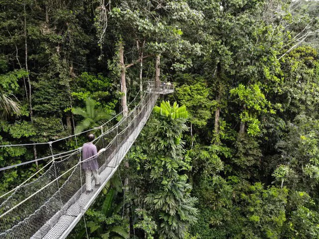 Cách Guyana phát triển du lịch bền vững: Việt Nam có thể học hỏi - Ảnh 1.