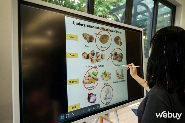 Bảng tương tác Samsung Flip Pro: Trải nghiệm mới lạ, hứa hẹn thay thế “bảng đen, phấn trắng” trong trường học - Ảnh 13.