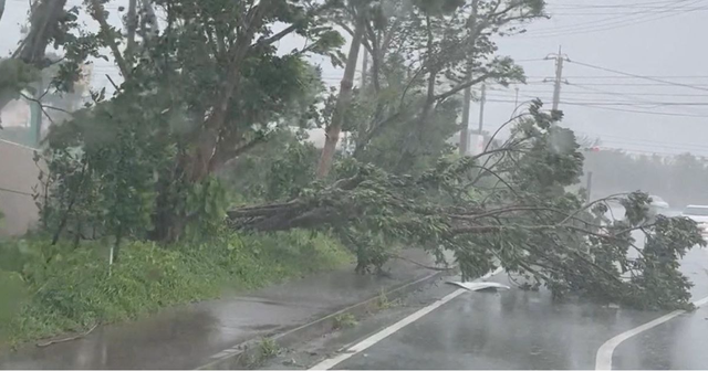 Nhật Bản &quot;báo động&quot; vì bão lớn: Gió quật đổ xe, sóng đánh dồn dập; đã có người thiệt mạng - Ảnh 1.
