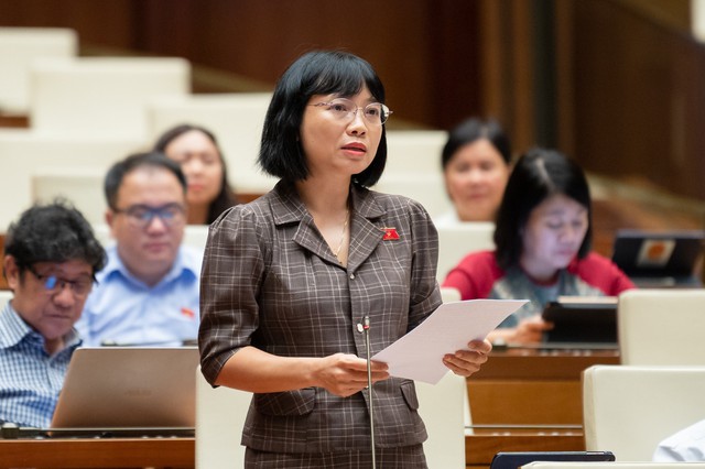 Đề nghị Cơ quan soạn thảo Luật Đất đai (sửa đổi) tiếp thu, giải trình nội dung về đất di sản văn hóa - Ảnh 1.